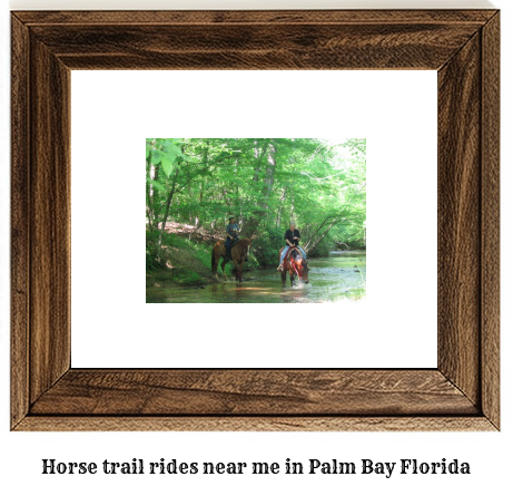 horse trail rides near me in Palm Bay, Florida